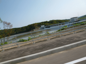 12052034.gif