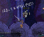 080301-6.JPG