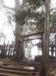 takachiho3.jpg