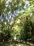 takachiho11.jpg