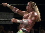 wrestler1.jpg