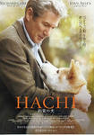 hachi.jpg