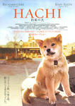 hachi1.jpg