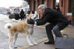 hachi3.jpg