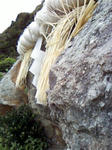 hyuga4.jpg