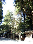 hyuga5.jpg