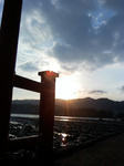 aoshima2.jpg