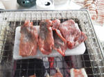 NEC_0015.JPG