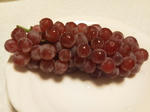 NEC_0021.JPG