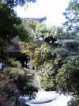 200804261541000.jpg
