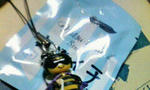 200808222101000.jpg