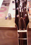 200711201737000.jpg