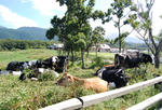 aeae22444.jpg