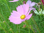 Image136.jpg