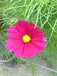 Image133.jpg