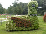Image137.jpg