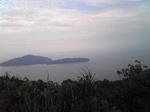 al01.jpg