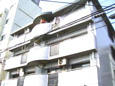 55659b07.jpg