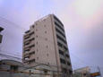 02.jpg