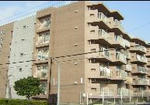 1aa8d254.JPG