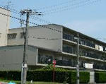 d067b14a.JPG