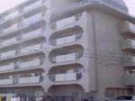 149d8137.JPG
