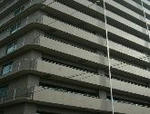 a803cd05.JPG