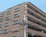 WS000019.JPG