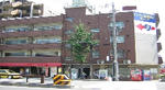 ec5f96f9.JPG