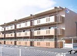 618586d7.JPG