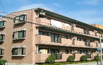 cbe06d49.JPG
