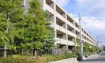 d8420a53.JPG