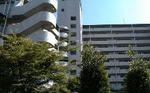 f0417cbf.JPG