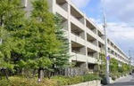 10ff9874.JPG