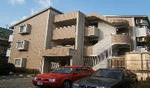 33e6049c.JPG