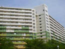 58011a16.jpg