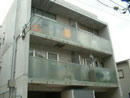f9715aa5.jpg