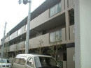 5059125d.jpg