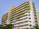 3a19f313.jpg