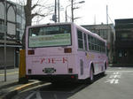 IMGP4882.JPG