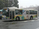 103.JPG