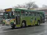 154.JPG