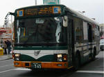 965.JPG