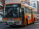 323.JPG