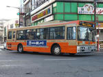 313-2.JPG