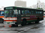 340.JPG