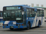 305.JPG