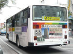 553r.JPG