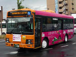8337.JPG