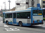 293r.JPG